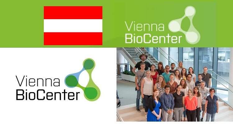 2023 Summer School Scholarship at Vienna Biocenter in Austria