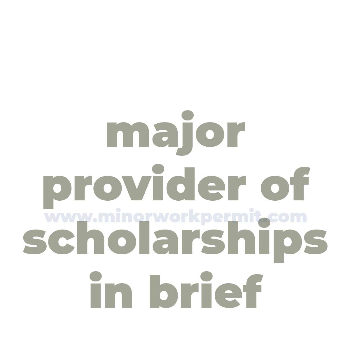 Major Provider of Scholarships in Brief